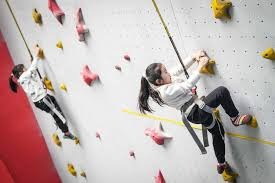 什么是“博弈论中的公共池塘资源”？解析在赌场整体胜率分布中的竞争。（解读博弈论的公共池塘资源：赌场整体胜率分布中的竞争格局）